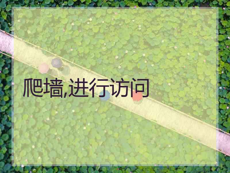 爬墙,进行访问