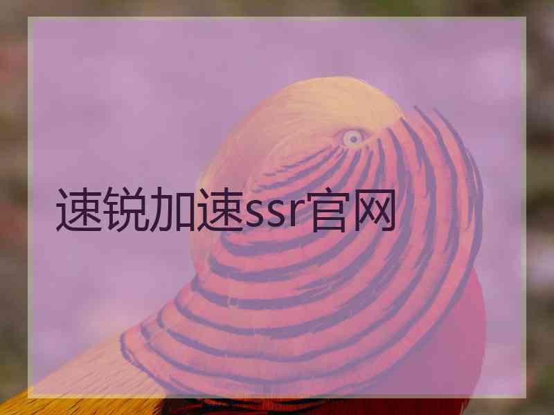 速锐加速ssr官网