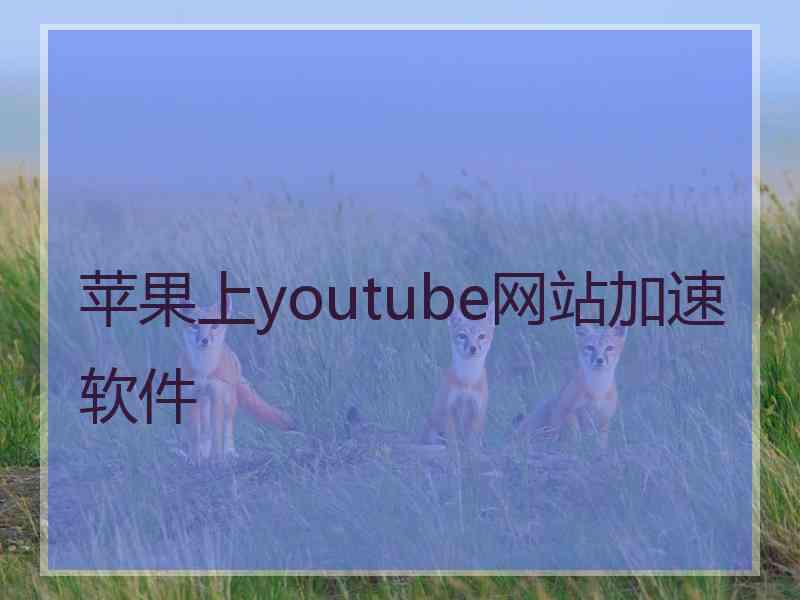 苹果上youtube网站加速软件