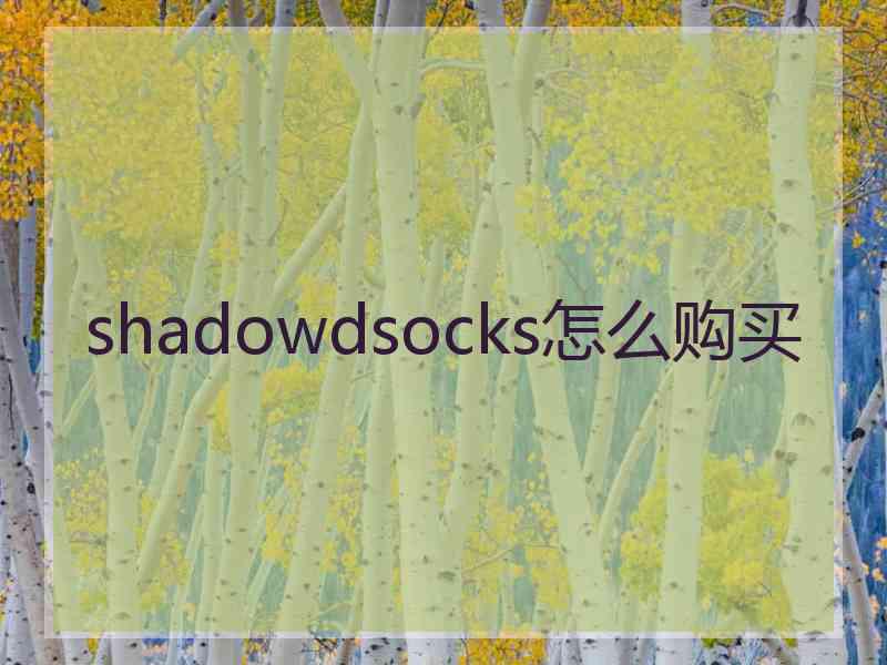 shadowdsocks怎么购买