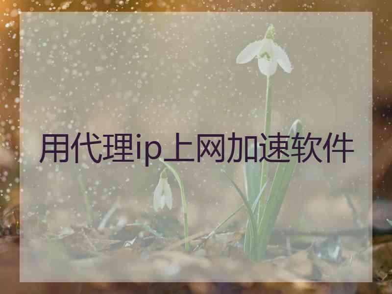用代理ip上网加速软件