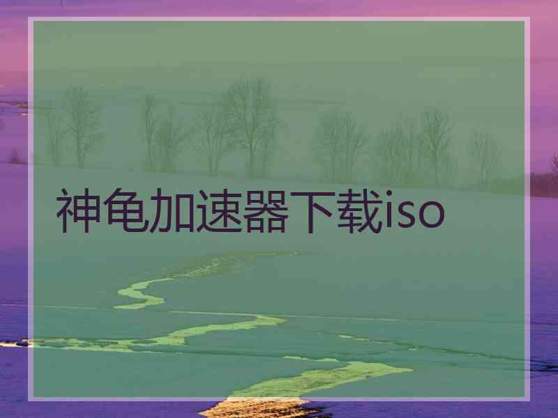 神龟加速器下载iso