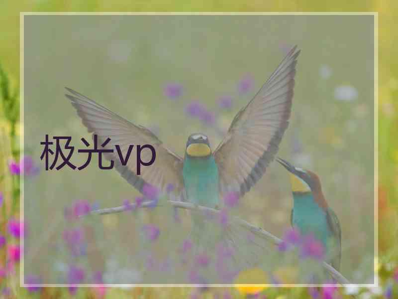 极光vp