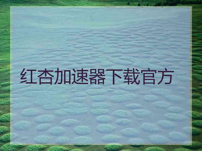 红杏加速器下载官方