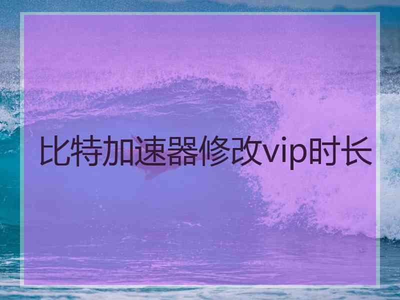 比特加速器修改vip时长