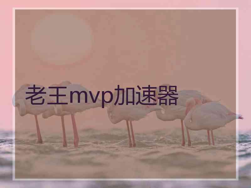 老王mvp加速器