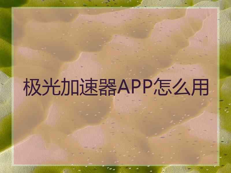 极光加速器APP怎么用