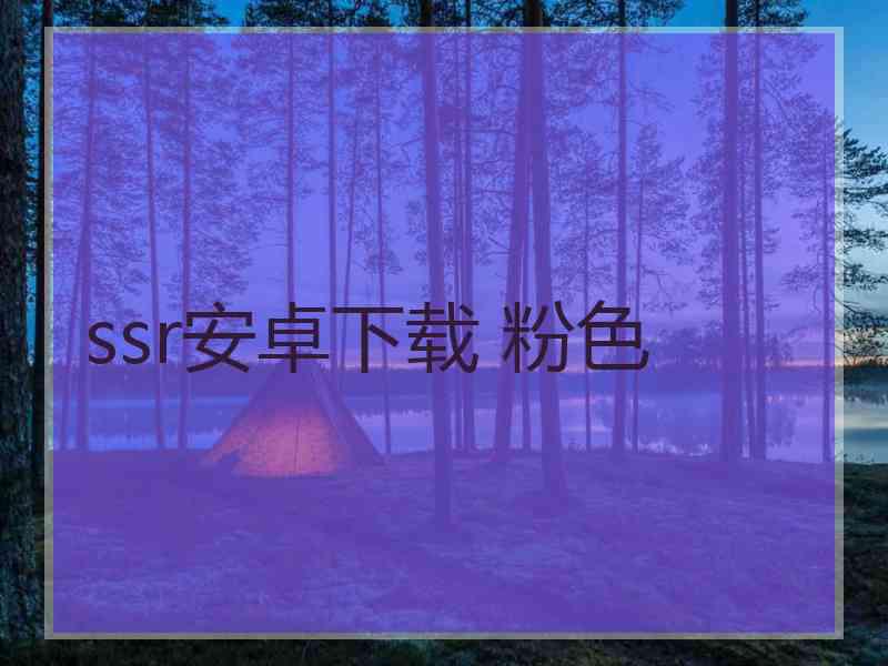 ssr安卓下载 粉色